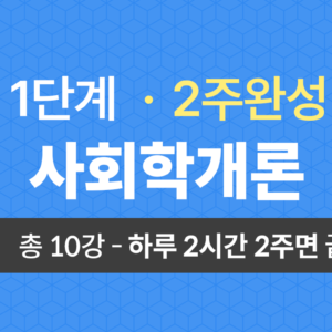 1단계 교양공통(사회학개론) 2주완성
